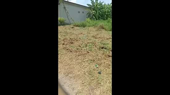 ขายที่ดินบางกรวย นนทบุรี 796 ตร.ว. ทำเลสงบ ใกล้ ม.มหิดล ศาลายา เชื่อมต่อกาญจนาภิเษก-พุทธมณฑล สาย 3, นนทบุรี, ท.ล. 1011, ปลายบาง, บางกรวย, นนทบุรี, 3,104 ตร.ม., ที่ดิน ขาย, โดย รังสิยา ทูลาดัท, 500207486 - DDproperty.com