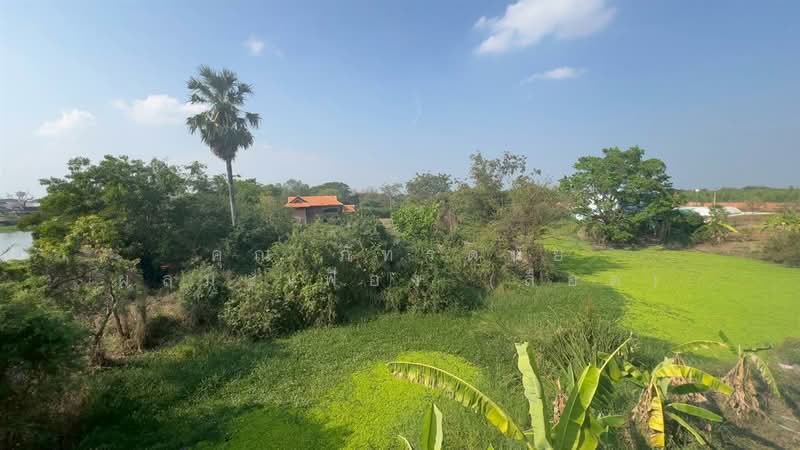 ที่ดินเปล่า 3 ไร่ ที่ดิน ซอยเทศบาล1 นครปฐม ถนนบางเลน-บางหลวง3351 บางเลน นครปฐม, Nakhon Pathom, ถนนบางเลน-บางหลวง3351, Bang Luang, Bang Len, Nakhon Pathom, , 4,800 sqm, Land For Sale, by คุณ ภัทรดนัย ผลมะเฟือง (ล็อต), 500207491 - DDproperty.com