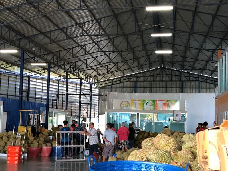 Cold storage/factory, Tha Mai Subdistrict, Chanthaburi Province., Chanthaburi, เฉลิมบูรพาชลธิต 165, Takat Ngao, Tha Mai, Chanthaburi, , 910 sqm, Warehouse/Factory For Sale, by Pimchaya Siripongwanich, 500207504 - DDproperty.com