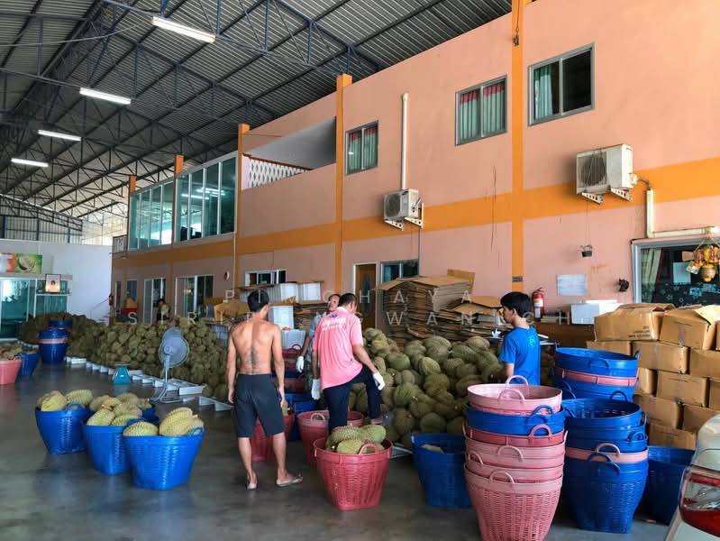 ขาย - ขายห้องเย็น / โรงงาน ตำบลท่าใหม่ จังหวัดจันทบุรี, จันทบุรี