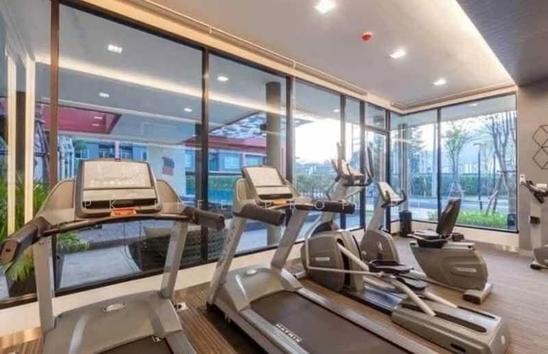 Dcondo Kathu-Patong, Phuket, Wichit Songkhram Road, Kathu, Kathu, Phuket, Studio, 30 sqm, Condo For Rent, by PK LIFE Property, 500207509 - DDproperty.com