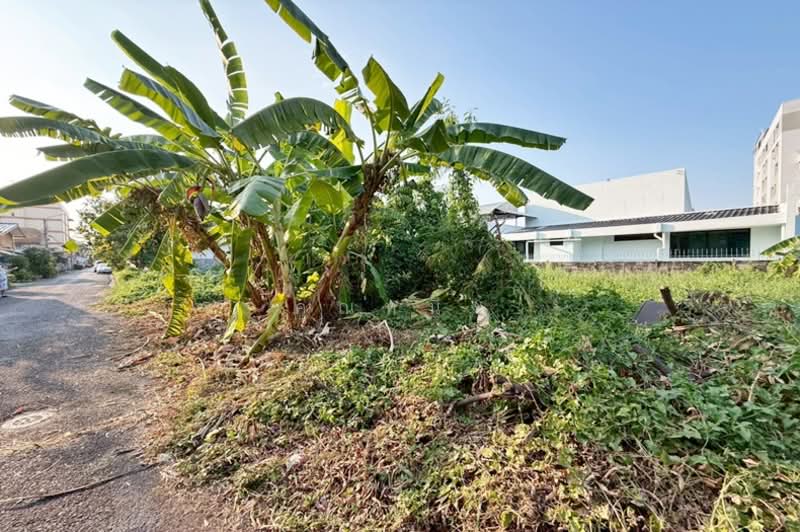 ซอยลาดพร้าววังหิน 7, Bangkok, Lat Phrao, Lat Phrao, Bangkok, , 544 sqm, Land For Sale, by คุณหนึ่ง, 500207521 - DDproperty.com