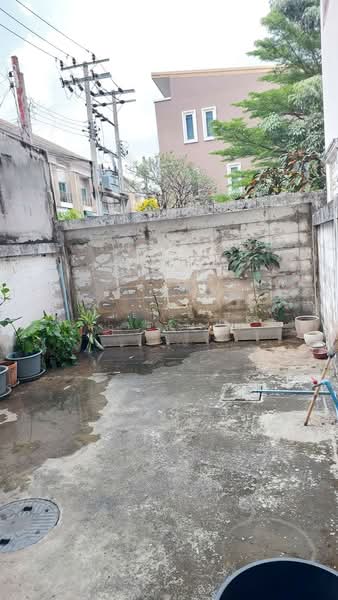 อาคารพาณิชย์บางศรีเมือง นนทบุรี, นนทบุรี, บางศรีเมือง, เมืองนนทบุรี, นนทบุรี, 120 ตร.ม., ตึกแถว-อาคารพาณิชย์ ขาย, โดย The Best Property เล็ก, 500207526 - DDproperty.com