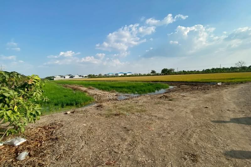 ถนนบางบัวทอง-สุพรรณบุรี (340) ซอยคลองโซน 6 ลาดหลุมแก้ว, Pathum Thani, บางบัวทอง-สุพรรณบุรี (340), Lat Lum Kaeo, Lat Lum Kaeo, Pathum Thani, , 9,600 sqm, Land For Sale, by คุณเก้า, 500207538 - DDproperty.com
