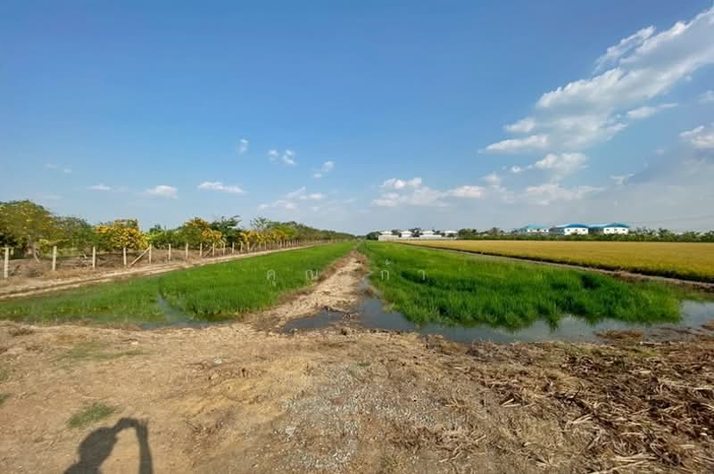 ถนนบางบัวทอง-สุพรรณบุรี (340) ซอยคลองโซน 6 ลาดหลุมแก้ว, Pathum Thani, บางบัวทอง-สุพรรณบุรี (340), Lat Lum Kaeo, Lat Lum Kaeo, Pathum Thani, , 9,600 sqm, Land For Sale, by คุณเก้า, 500207538 - DDproperty.com