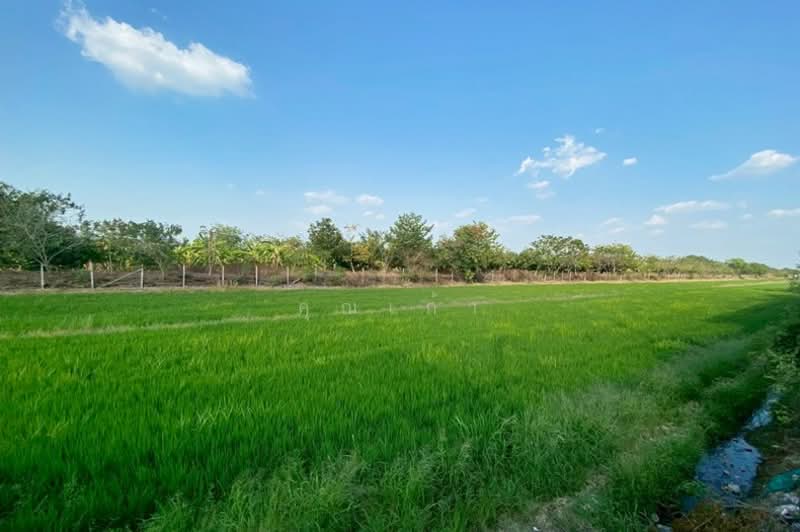 ถนนบางบัวทอง-สุพรรณบุรี (340) ซอยคลองโซน 6 ลาดหลุมแก้ว, Pathum Thani, บางบัวทอง-สุพรรณบุรี (340), Lat Lum Kaeo, Lat Lum Kaeo, Pathum Thani, , 9,600 sqm, Land For Sale, by คุณเก้า, 500207538 - DDproperty.com