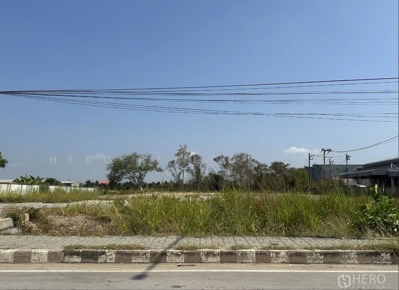 ขาย - Land Sale 800 sqw in Wellgrow Industrial Estate, Bang Pakong, Chachoengsao HRE00486, ฉะเชิงเทรา