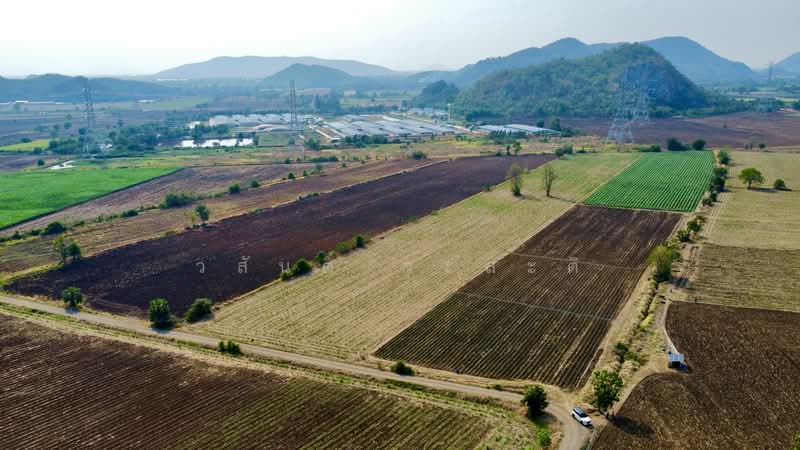 ที่ดิน ตากฟ้า-ตาคลี นครสวรรค์ ( 95,000/ไร่ ) 10 ไร่ 81 ตร.ว., นครสวรรค์, (11) ( พหลโยธิน), เขาชายธง, ตากฟ้า, นครสวรรค์, 16,324 ตร.ม., ที่ดิน ขาย, โดย วสันต์ วะสะติ, 500207580 - DDproperty.com