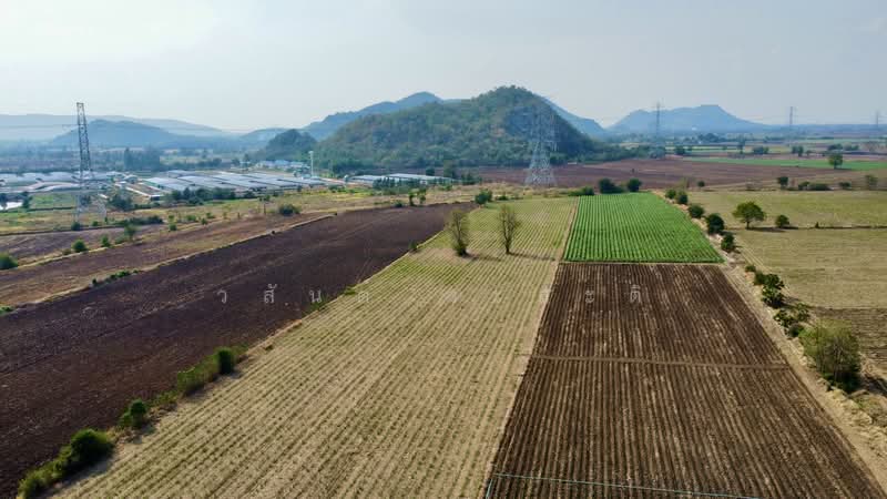 ที่ดิน ตากฟ้า-ตาคลี นครสวรรค์ ( 95,000/ไร่ ) 10 ไร่ 81 ตร.ว., Nakhon Sawan, (11) ( พหลโยธิน), Kao Chai Thong, Tak Fa, Nakhon Sawan, , 16,324 sqm, Land For Sale, by Wasan Wasati, 500207580 - DDproperty.com