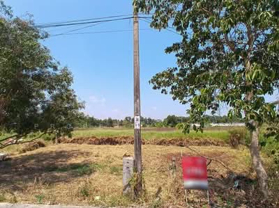 ขาย - ที่ดินมีนบุรี กรุงเทพมหานคร, กรุงเทพ