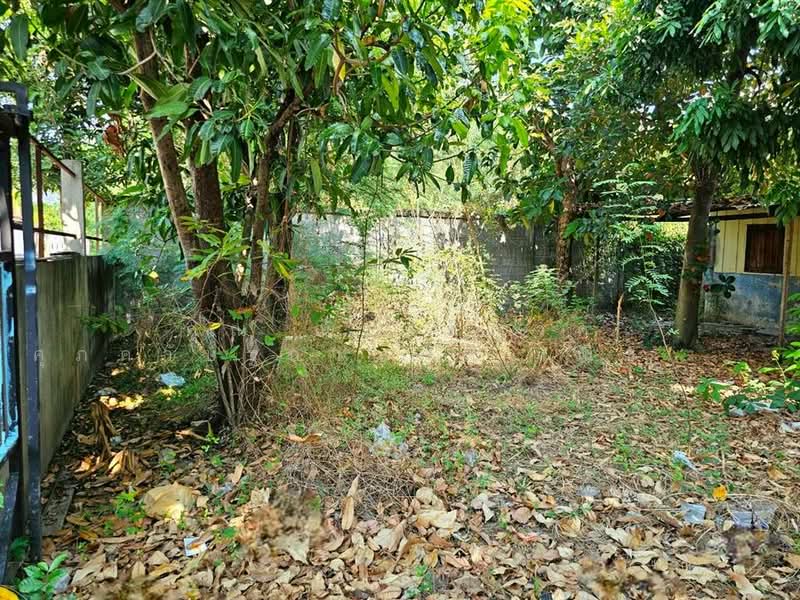 ที่ดิน + บ้าน 2 ชั้น 75 ตร.ว. ใกล้รถไฟฟ้าสายสีชมพู สถานีคู้บอน ซอยคู้บอน27 แยก8, กรุงเทพ, ถนนคู้บอน, ท่าแร้ง, บางเขน, กรุงเทพ, 300 ตร.ม., ที่ดิน ขาย, โดย คุณ ณัจภสิญาค์ ศุภควัษฐ์กาญกุล (ณิชชา), 500207606 - DDproperty.com