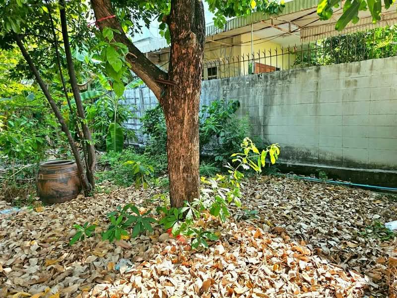 ที่ดิน + บ้าน 2 ชั้น 75 ตร.ว. ใกล้รถไฟฟ้าสายสีชมพู สถานีคู้บอน ซอยคู้บอน27 แยก8, กรุงเทพ, ถนนคู้บอน, ท่าแร้ง, บางเขน, กรุงเทพ, 300 ตร.ม., ที่ดิน ขาย, โดย คุณ ณัจภสิญาค์ ศุภควัษฐ์กาญกุล (ณิชชา), 500207606 - DDproperty.com