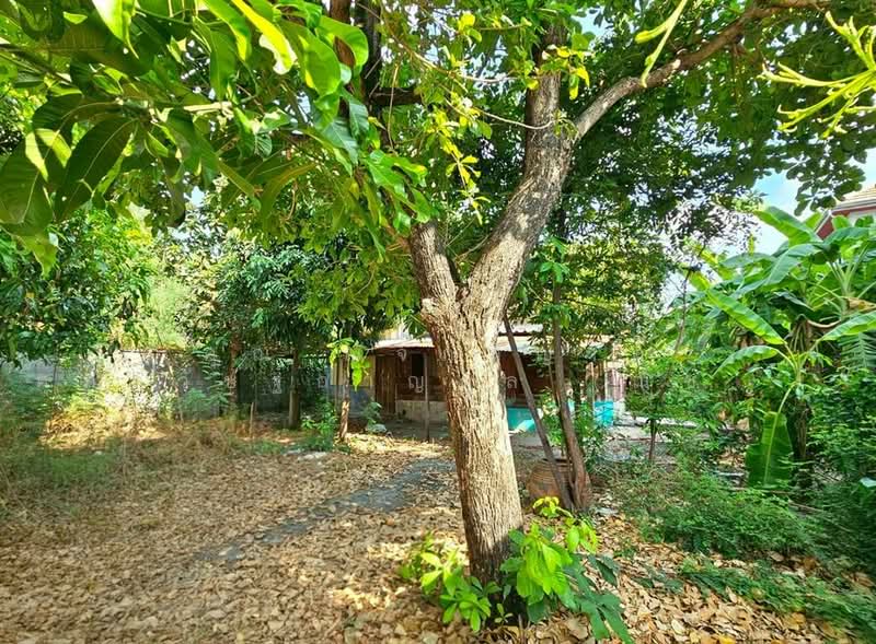 ที่ดิน + บ้าน 2 ชั้น 75 ตร.ว. ใกล้รถไฟฟ้าสายสีชมพู สถานีคู้บอน ซอยคู้บอน27 แยก8, Bangkok, ถนนคู้บอน, Tha Rang, Bang Khen, Bangkok, , 300 sqm, Land For Sale, by คุณ ณัจภสิญาค์ ศุภควัษฐ์กาญกุล (ณิชชา), 500207606 - DDproperty.com