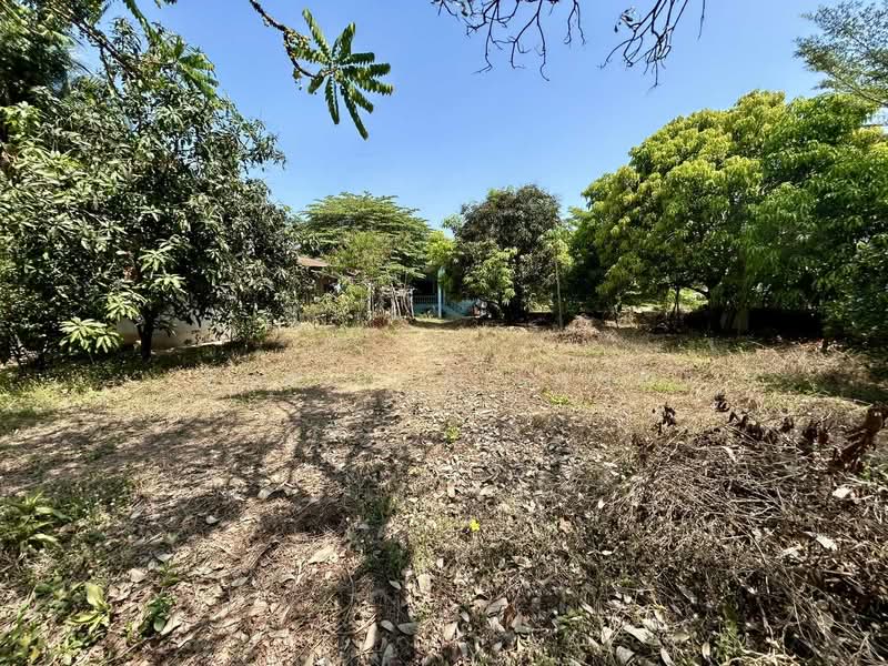 ขายบ้านพร้อมที่ดิน 2 ห้องนอน 1 ห้องน้ำ สิงห์บุรี, Sing Buri, Chak Si, Muang Sing Buri, Sing Buri, 2 Bedrooms, 96 sqm, Single Detached House For Sale, by ERA Thailand, 500207725 - DDproperty.com