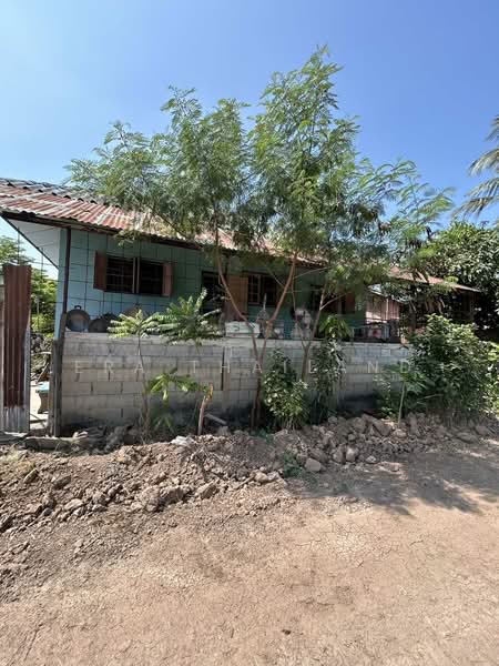 ขายบ้านพร้อมที่ดิน 2 ห้องนอน 1 ห้องน้ำ สิงห์บุรี, สิงห์บุรี, จักรสีห์, เมืองสิงห์บุรี, สิงห์บุรี, 96 ตร.ม., บ้านเดี่ยว ขาย, โดย ERA Thailand, 500207725 - DDproperty.com