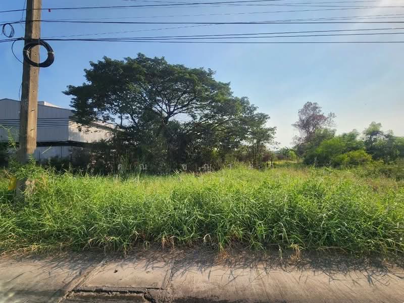 ที่ดินเปล่า 800 ตร.ว. ที่ดิน ใกล้ Lazada Express Hub คลองหลวง ซอยคลองสี่ตะวันออก47, ปทุมธานี, ถนนกาญจนาภิเษก, คลองสี่, คลองหลวง, ปทุมธานี, 3,200 ตร.ม., ที่ดิน ขาย, โดย คุณ ชญาดา มหาปิยานนท์ (ไนท์), 500207732 - DDproperty.com