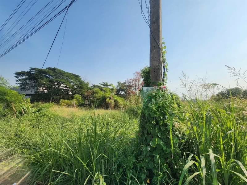 ที่ดินเปล่า 800 ตร.ว. ที่ดิน ใกล้ Lazada Express Hub คลองหลวง ซอยคลองสี่ตะวันออก47, ปทุมธานี, ถนนกาญจนาภิเษก, คลองสี่, คลองหลวง, ปทุมธานี, 3,200 ตร.ม., ที่ดิน ขาย, โดย คุณ ชญาดา มหาปิยานนท์ (ไนท์), 500207732 - DDproperty.com