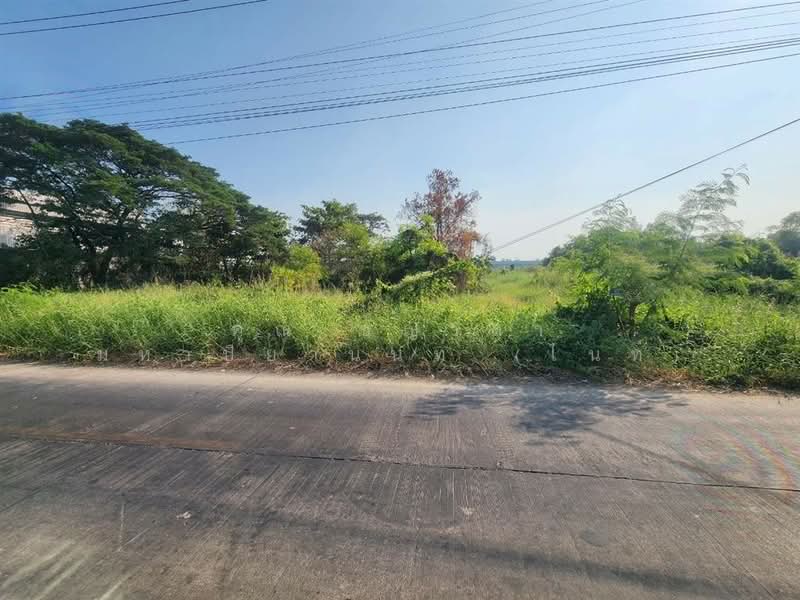 ที่ดินเปล่า 800 ตร.ว. ที่ดิน ใกล้ Lazada Express Hub คลองหลวง ซอยคลองสี่ตะวันออก47, ปทุมธานี, ถนนกาญจนาภิเษก, คลองสี่, คลองหลวง, ปทุมธานี, 3,200 ตร.ม., ที่ดิน ขาย, โดย คุณ ชญาดา มหาปิยานนท์ (ไนท์), 500207732 - DDproperty.com