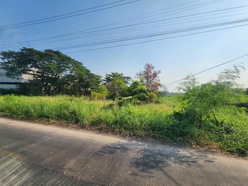 ที่ดินเปล่า 800 ตร.ว. ที่ดิน ใกล้ Lazada Express Hub คลองหลวง ซอยคลองสี่ตะวันออก47, ปทุมธานี, ถนนกาญจนาภิเษก, คลองสี่, คลองหลวง, ปทุมธานี, 3,200 ตร.ม., ที่ดิน ขาย, โดย คุณ ชญาดา มหาปิยานนท์ (ไนท์), 500207732 - DDproperty.com