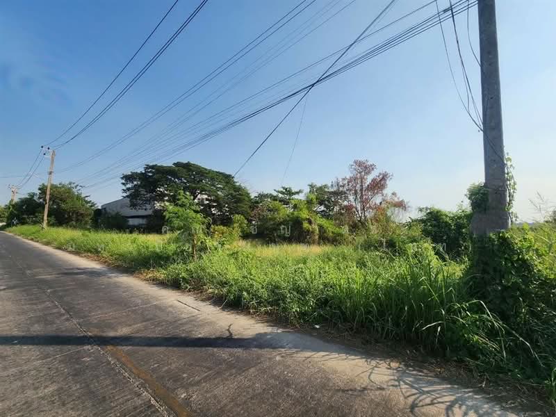 ที่ดินเปล่า 800 ตร.ว. ที่ดิน ใกล้ Lazada Express Hub คลองหลวง ซอยคลองสี่ตะวันออก47, ปทุมธานี, ถนนกาญจนาภิเษก, คลองสี่, คลองหลวง, ปทุมธานี, 3,200 ตร.ม., ที่ดิน ขาย, โดย คุณ ชญาดา มหาปิยานนท์ (ไนท์), 500207732 - DDproperty.com