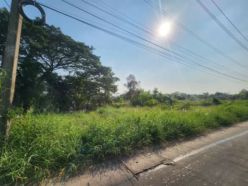 ที่ดินเปล่า 800 ตร.ว. ที่ดิน ใกล้ Lazada Express Hub คลองหลวง ซอยคลองสี่ตะวันออก47, ปทุมธานี, ถนนกาญจนาภิเษก, คลองสี่, คลองหลวง, ปทุมธานี, 3,200 ตร.ม., ที่ดิน ขาย, โดย คุณ ชญาดา มหาปิยานนท์ (ไนท์), 500207732 - DDproperty.com