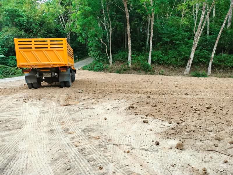 sale! Land plot of 14 rai located at the foot of a hill in Pa Khlok, Phuket., Phuket, Pa Khlok, Thalang, Phuket, , 22,400 sqm, Land For Sale, by Rachen Nopsuwan, 500207741 - DDproperty.com