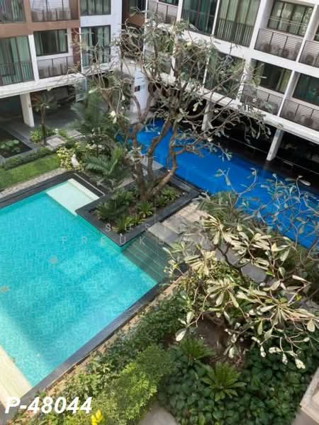 IDEO Blucove Sathorn, Bangkok, 11 Soi Saraphi 3, Krungthonburi Road, Khlong Ton Sai, Khlong San, Bangkok, 1 Bedroom, 35 sqm, Condo For Rent, by Susira Preuksawun, 500207751 - DDproperty.com