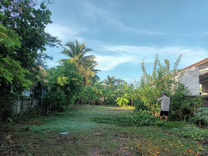 ที่ดินสวย 1 ไร่ 1 งาน 70 ตร.ว., นครราชสีมา, สูงเนิน, สูงเนิน, นครราชสีมา, 1,876 ตร.ม., ที่ดิน ขาย, โดย ERA Thailand, 500207763 - DDproperty.com