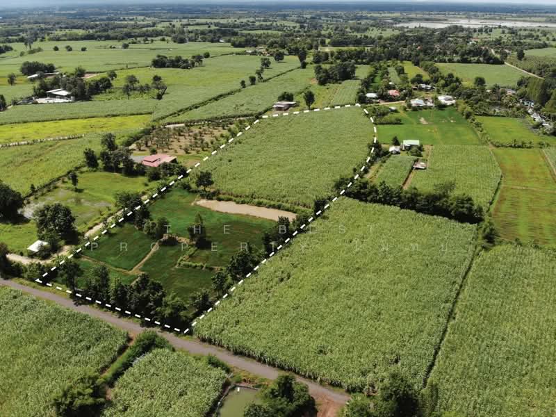 For Sale - ที่ดินหนองเรือ ขอนแก่น, Khon Kaen