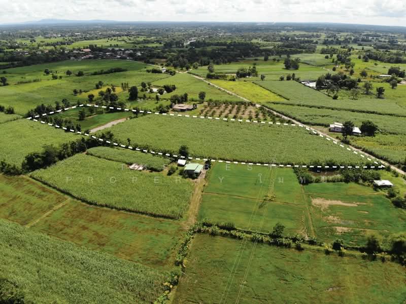 ขาย - ที่ดินหนองเรือ ขอนแก่น, ขอนแก่น