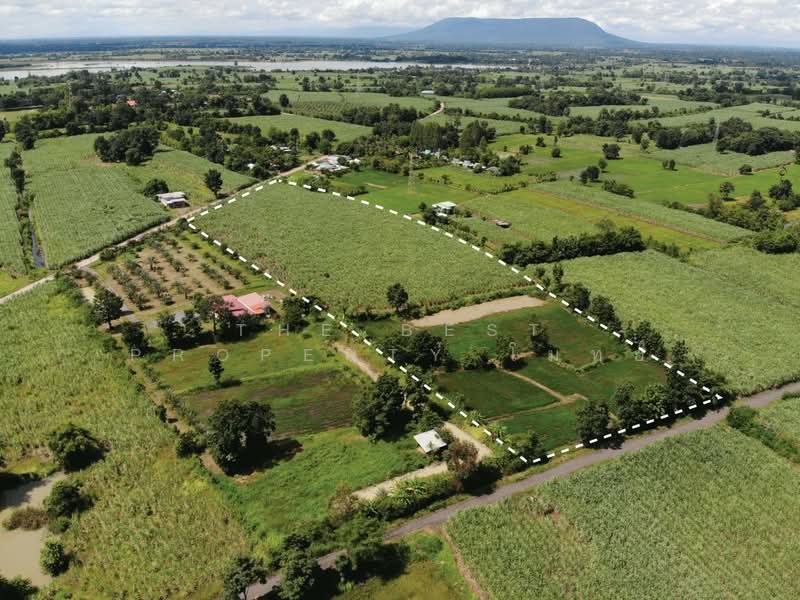 For Sale - ที่ดินหนองเรือ ขอนแก่น, Khon Kaen