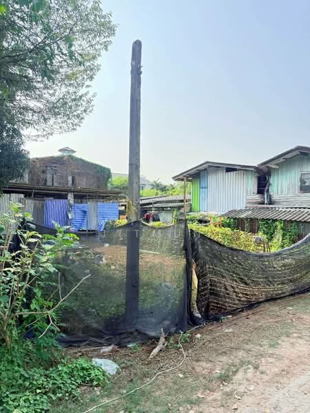 ที่ดิน ซอยทวีวัฒนา 43, Bangkok, Sala Thammasop, Thawi Watthana, Bangkok, , 500 sqm, Land For Sale, by Jutarat Jitmun, 500207806 - DDproperty.com