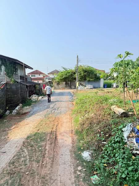 ที่ดิน ซอยทวีวัฒนา 43, Bangkok, Sala Thammasop, Thawi Watthana, Bangkok, , 500 sqm, Land For Sale, by Jutarat Jitmun, 500207806 - DDproperty.com