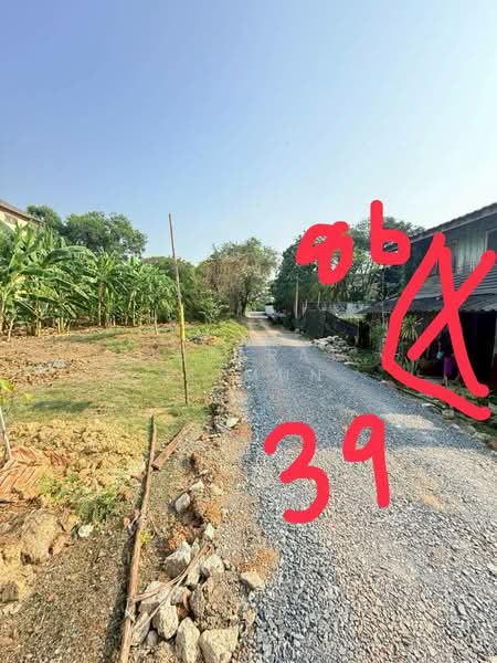 ที่ดิน ซอยทวีวัฒนา 43, Bangkok, Sala Thammasop, Thawi Watthana, Bangkok, , 500 sqm, Land For Sale, by Jutarat Jitmun, 500207806 - DDproperty.com