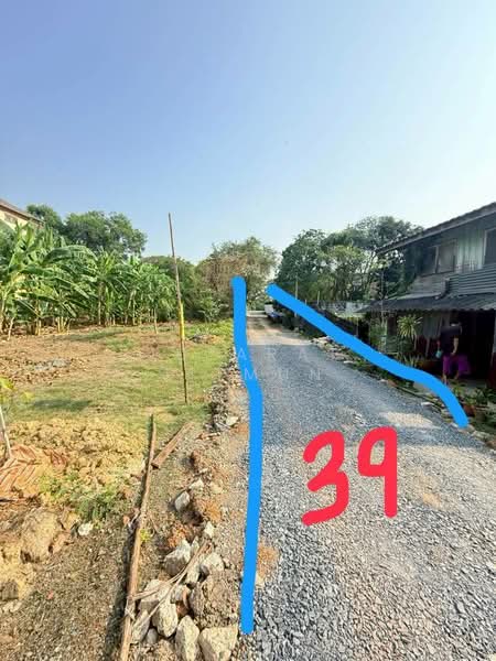 ที่ดิน ซอยทวีวัฒนา 43, Bangkok, Sala Thammasop, Thawi Watthana, Bangkok, , 500 sqm, Land For Sale, by Jutarat Jitmun, 500207806 - DDproperty.com