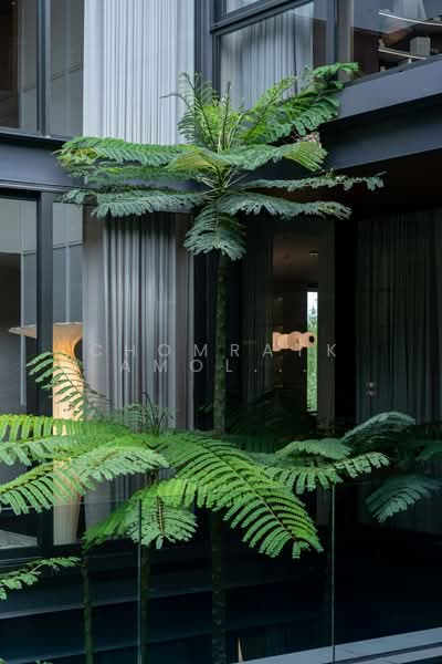 Sonle Residences, กรุงเทพ, วงศ์สว่าง, บางซื่อ, กรุงเทพ, 1,400 ตร.ม., บ้านเดี่ยว ขาย, โดย Chomratkamol Soontorntarawong (Gor), 500207903 - DDproperty.com