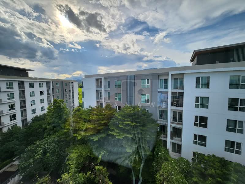 Serene Lake North 2, Chiang Mai, Su Thep, Muang Chiang Mai, Chiang Mai, 2 Bedrooms, 50 sqm, Condo For Rent, by Koi Yanawee, 500207915 - DDproperty.com