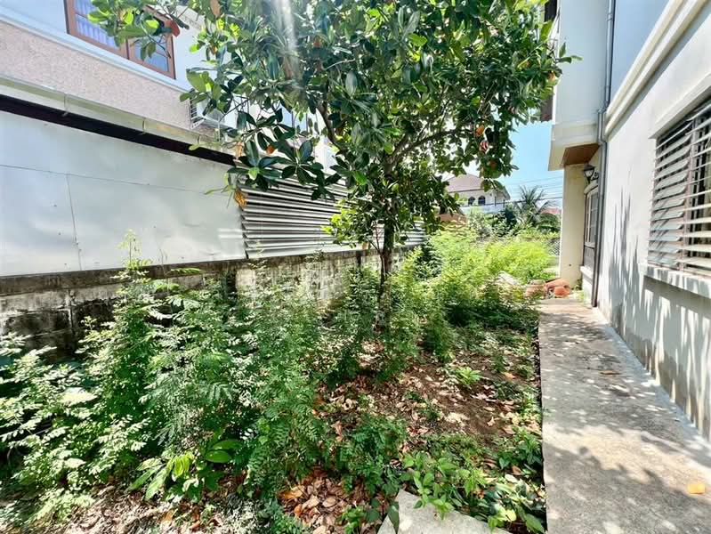 บ้านเดี่ยว 2 ชั้น 70 ตร.ว. บ้านเดี่ยว ซอยนวมินทร์54 ถนนนวมินทร์, กรุงเทพ, คลองกุ่ม, บึงกุ่ม, กรุงเทพ, 280 ตร.ม., บ้านเดี่ยว ขาย, โดย คุณ วีนัสรา บุตรพา (เมล), 500207921 - DDproperty.com