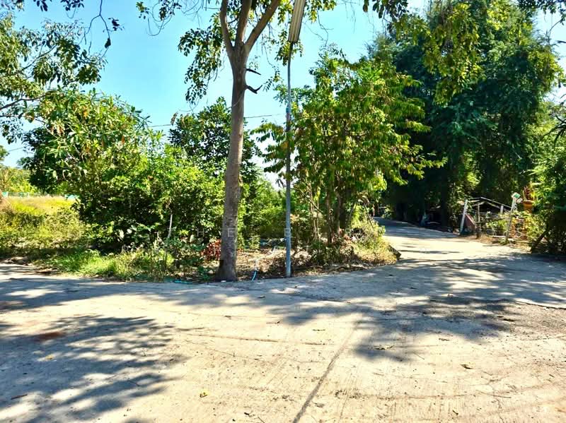 ที่ดินโพธิ์ทอง อ่างทอง, Ang Thong, Nong Mae Kai, Pho Thong, Ang Thong, , 3,200 sqm, Land For Sale, by The Best Property นก, 500207946 - DDproperty.com