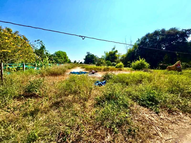 ที่ดินโพธิ์ทอง อ่างทอง, Ang Thong, Nong Mae Kai, Pho Thong, Ang Thong, , 3,200 sqm, Land For Sale, by The Best Property นก, 500207946 - DDproperty.com