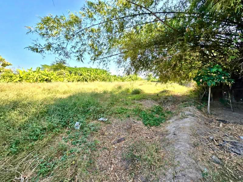 ที่ดินโพธิ์ทอง อ่างทอง, Ang Thong, Nong Mae Kai, Pho Thong, Ang Thong, , 3,200 sqm, Land For Sale, by The Best Property นก, 500207946 - DDproperty.com