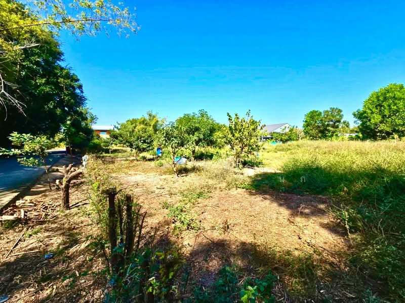 ที่ดินโพธิ์ทอง อ่างทอง, Ang Thong, Nong Mae Kai, Pho Thong, Ang Thong, , 3,200 sqm, Land For Sale, by The Best Property นก, 500207946 - DDproperty.com