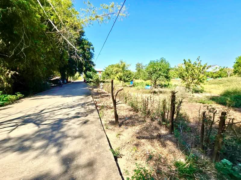 ที่ดินโพธิ์ทอง อ่างทอง, Ang Thong, Nong Mae Kai, Pho Thong, Ang Thong, , 3,200 sqm, Land For Sale, by The Best Property นก, 500207946 - DDproperty.com