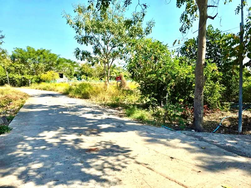 ที่ดินโพธิ์ทอง อ่างทอง, Ang Thong, Nong Mae Kai, Pho Thong, Ang Thong, , 3,200 sqm, Land For Sale, by The Best Property นก, 500207946 - DDproperty.com