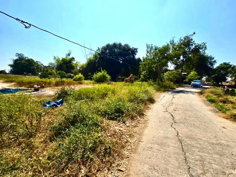 ที่ดินโพธิ์ทอง อ่างทอง, Ang Thong, Nong Mae Kai, Pho Thong, Ang Thong, , 3,200 sqm, Land For Sale, by The Best Property นก, 500207946 - DDproperty.com