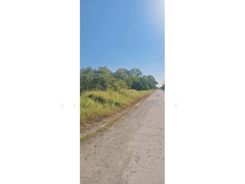 ที่ดินเปล่า 3-3-39 ไร่ สุวินทวงศ์52 ซอยสำนักงานที่ดินหนองจอก, กรุงเทพ, ลำผักชี, หนองจอก, กรุงเทพ, 6,156 ตร.ม., ที่ดิน ขาย, โดย สุรศักดิ์ สาโท, 500207955 - DDproperty.com