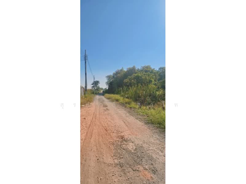 Vacant Land 3-3-39 Rai Suwinthawong52 Soi.Nong Chok Land office, Bangkok, Lam Phak Chi, Nong Chok, Bangkok, , 6,156 sqm, Land For Sale, by Surasak Satho, 500207955 - DDproperty.com