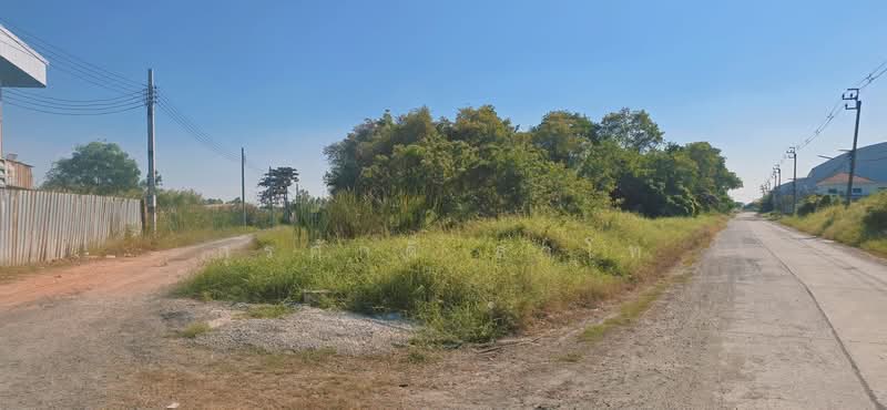 Vacant Land 3-3-39 Rai Suwinthawong52 Soi.Nong Chok Land office, Bangkok, Lam Phak Chi, Nong Chok, Bangkok, , 6,156 sqm, Land For Sale, by Surasak Satho, 500207955 - DDproperty.com