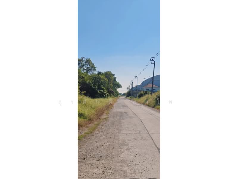 Vacant Land 3-3-39 Rai Suwinthawong52 Soi.Nong Chok Land office, Bangkok, Lam Phak Chi, Nong Chok, Bangkok, , 6,156 sqm, Land For Sale, by Surasak Satho, 500207955 - DDproperty.com