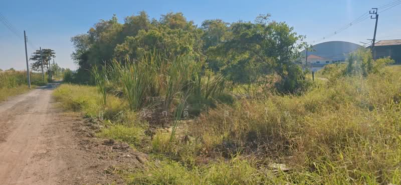 Vacant Land 3-3-39 Rai Suwinthawong52 Soi.Nong Chok Land office, Bangkok, Lam Phak Chi, Nong Chok, Bangkok, , 6,156 sqm, Land For Sale, by Surasak Satho, 500207955 - DDproperty.com